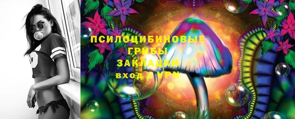 шишки Алексеевка