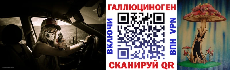 купить  цена  Анжеро-Судженск  Псилоцибиновые грибы Cubensis 